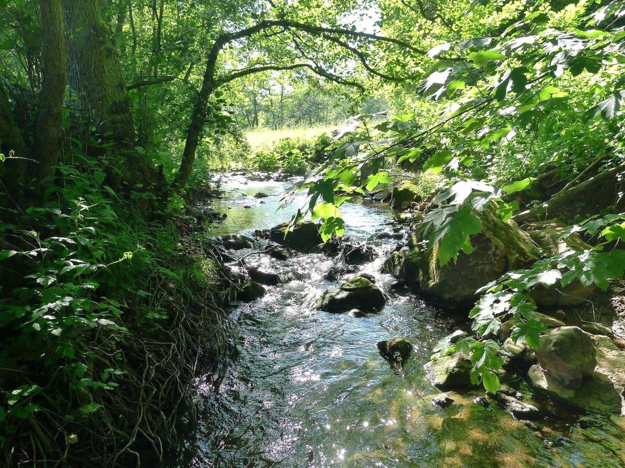 Solveigs Ferienwohnung Bad Munstereifel Bagian luar foto